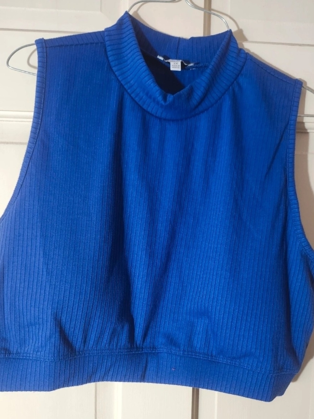 white birch Ribbed Mock Neck Sleeveless Crop Top - Blue